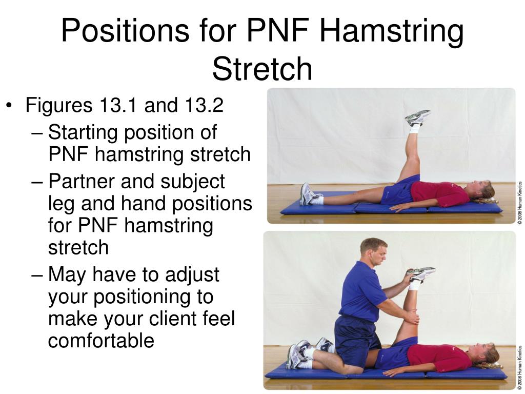 PPT Warm Up Stretching And Self Myofascial Release Using Foam PPT Warm Up Stretching And Self Myofascial Release Using Foam