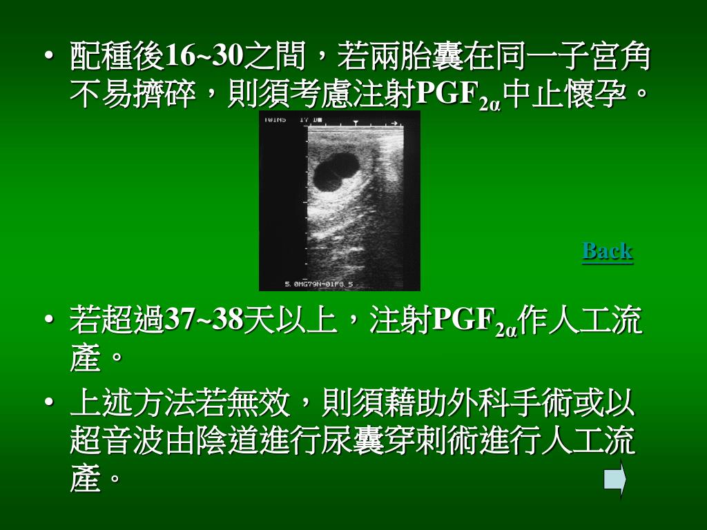 Ppt 馬的繁殖障礙powerpoint Presentation Free Download Id
