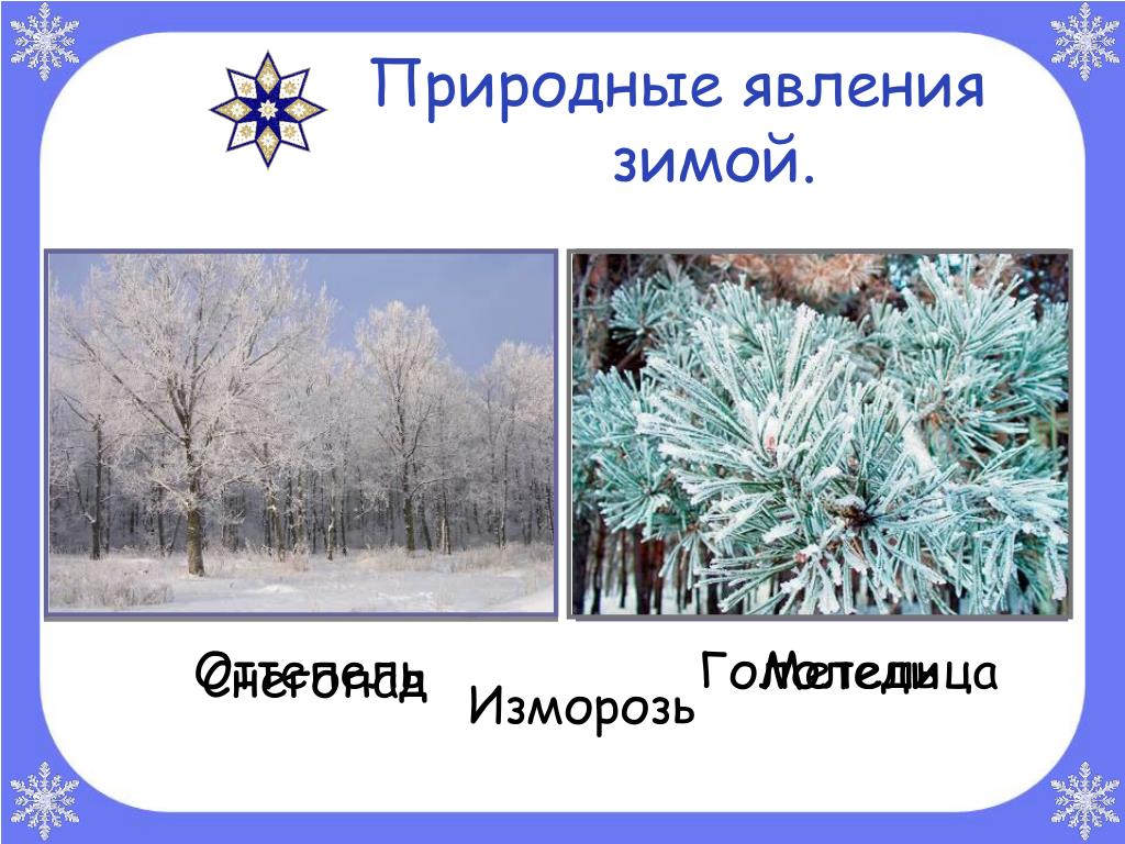 Окружающий мир гости зимы. Явления природы зимой. Зимние явления изморозь. Зимние явления в неживой природе. Зимние изменения в природе.