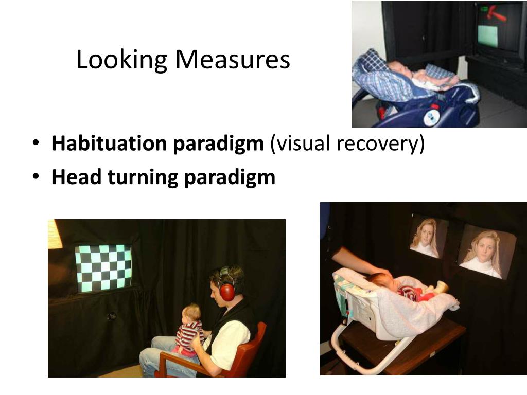 visual habituation paradigm