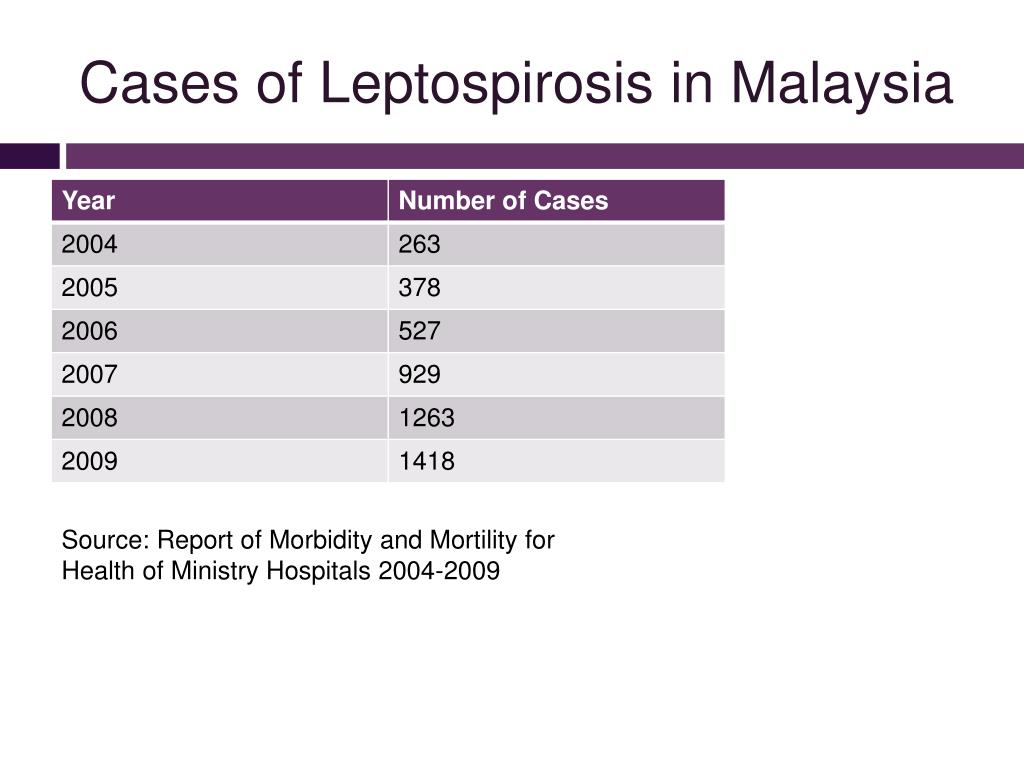 PPT LEPTOSPIROSIS IN MALAYSIA PowerPoint Presentation, free download