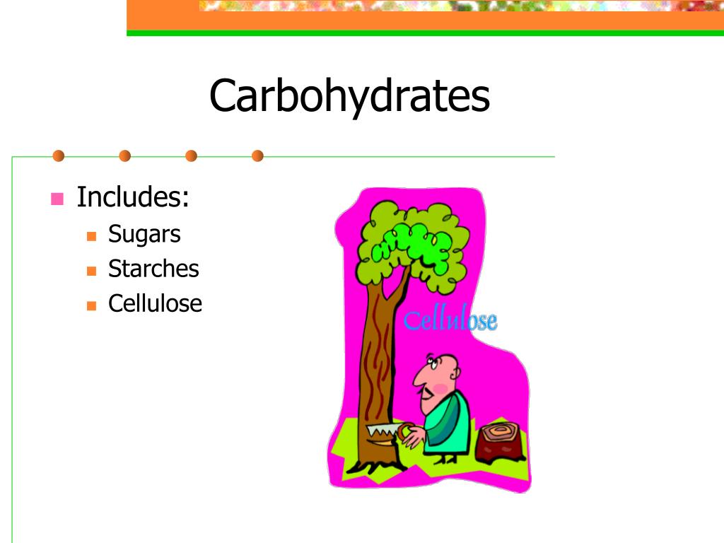 PPT Animal Nutrition PowerPoint Presentation, free download ID6178911