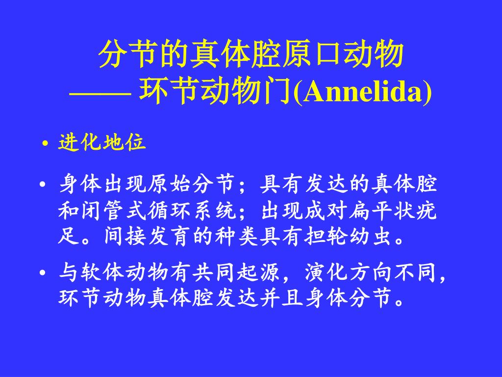 Ppt 分节的真体腔原口动物 环节动物门 Annelida Powerpoint Presentation Id