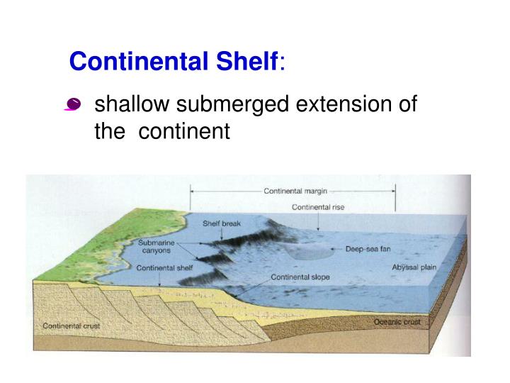 PPT Life on the Continental Shelf PowerPoint Presentation ID6181500