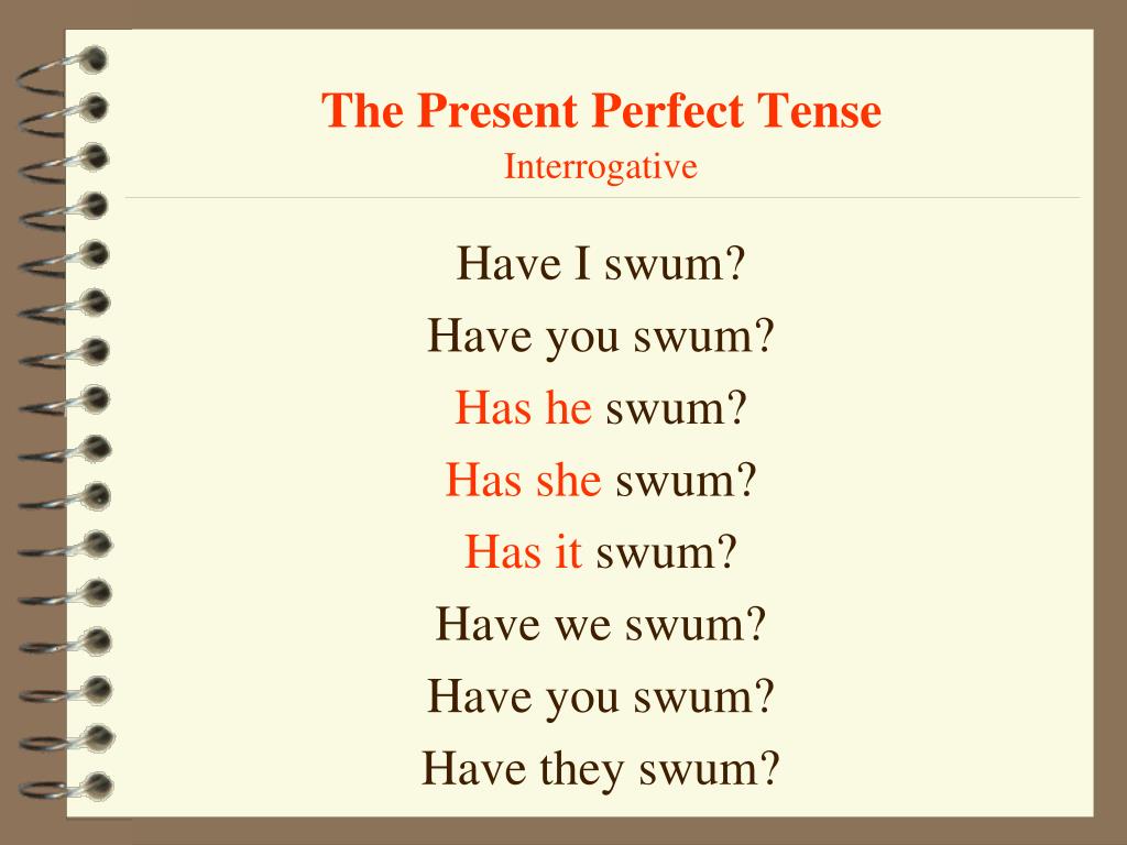 Вопросительная форма present perfect. Present perfect Tense interrogative. Present perfect interrogative. Present perfect negative form. Present perfect краткие ответы.