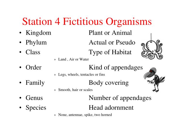Which Taxon Includes Only Organisms That Can Successfully Interbreed Which Taxon Includes Only Organisms That Can Successfully Interbreed
