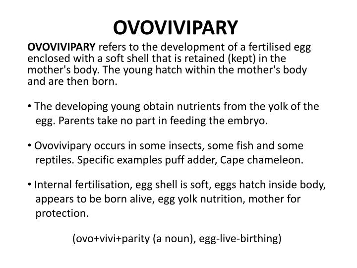 PPT OVIPARY OVOVIVIPARY VIVIPARY PowerPoint PPT OVIPARY OVOVIVIPARY VIVIPARY PowerPoint