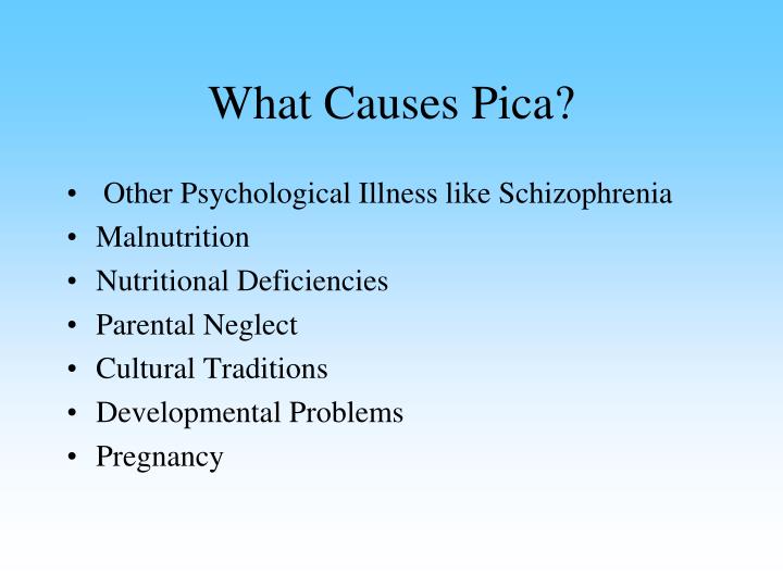 medical causes of pica in cats medical causes of pica in cats