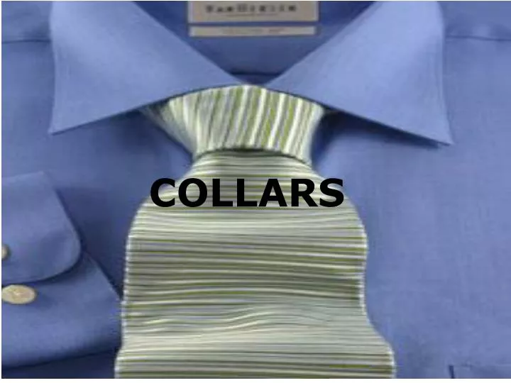 collars n.