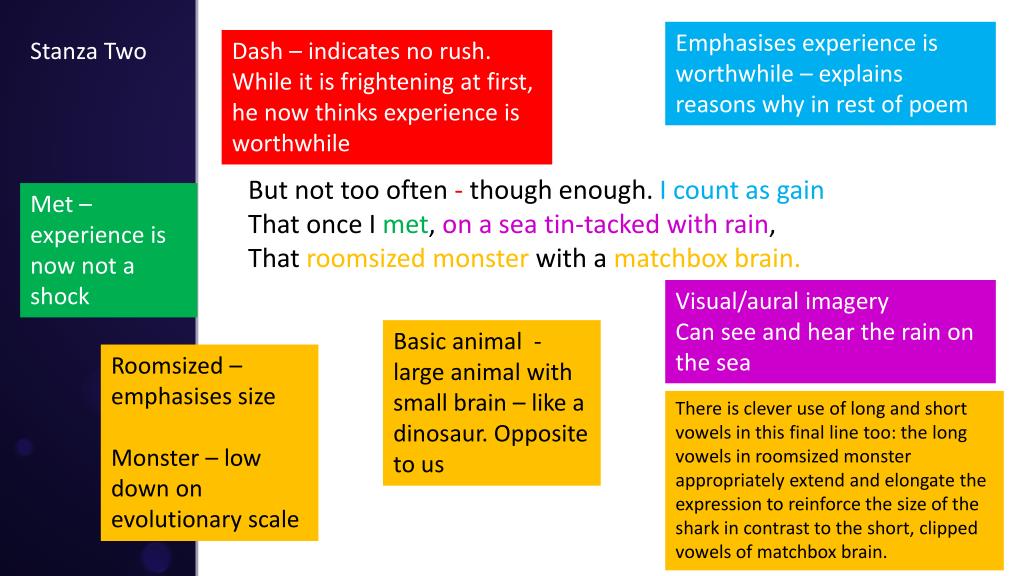 ppt-basking-shark-annotation-of-poem-powerpoint-presentation-free