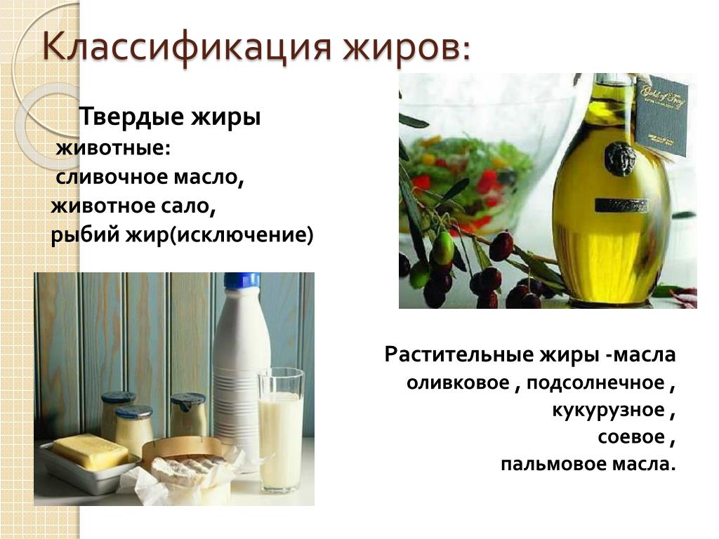 Подсолнечное масло относится к. Классификация твердых жиров. Презентация на тему растительные жиры. Растительные масла и животные жиры. Растительные и животные жиры.