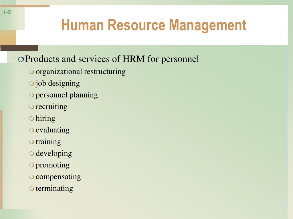 PPT - Strategic Human Resource Management in a Changing Environment ...