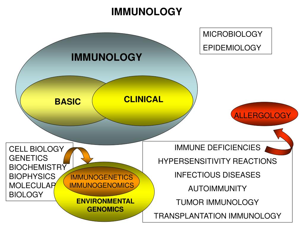 ppt-immunology-powerpoint-presentation-free-download-id-6185638