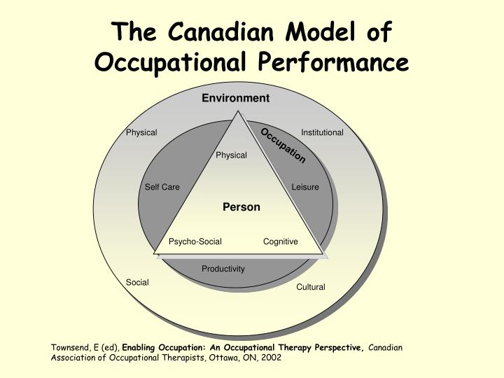 The Canadian Model of Occupational Performance and Engagement