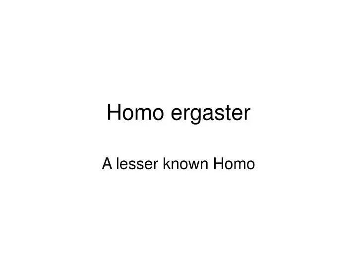 homo ergaster n.