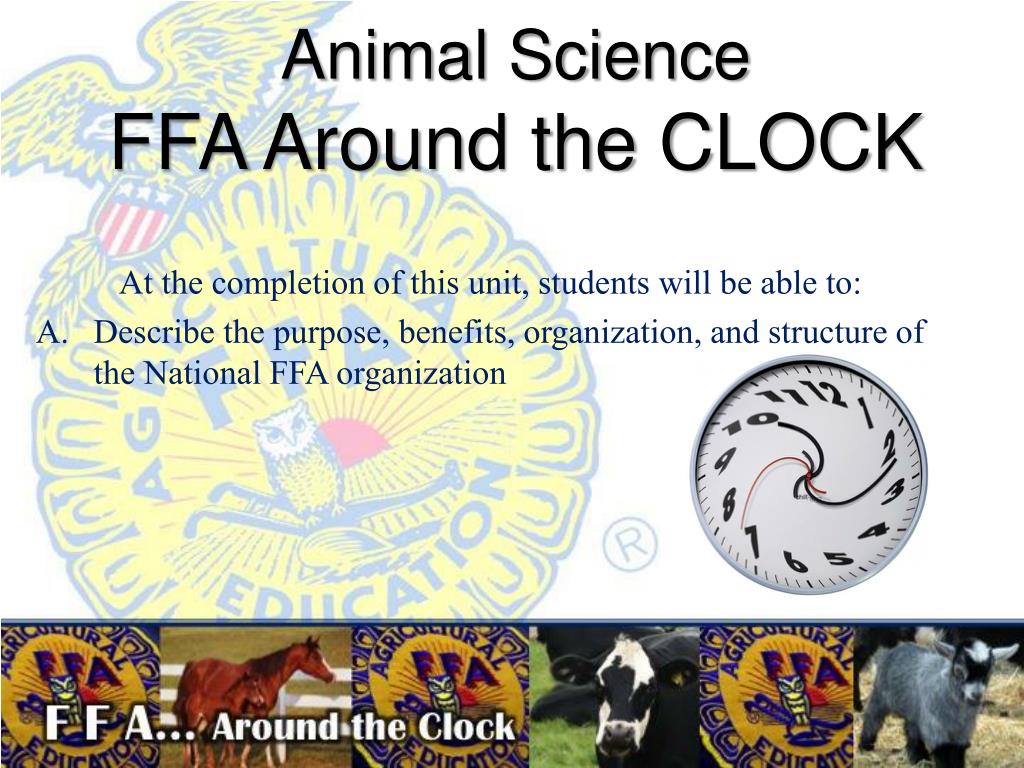 PPT - Animal Science FFA Around the CLOCK PowerPoint Presentation, free  download - ID:6188600