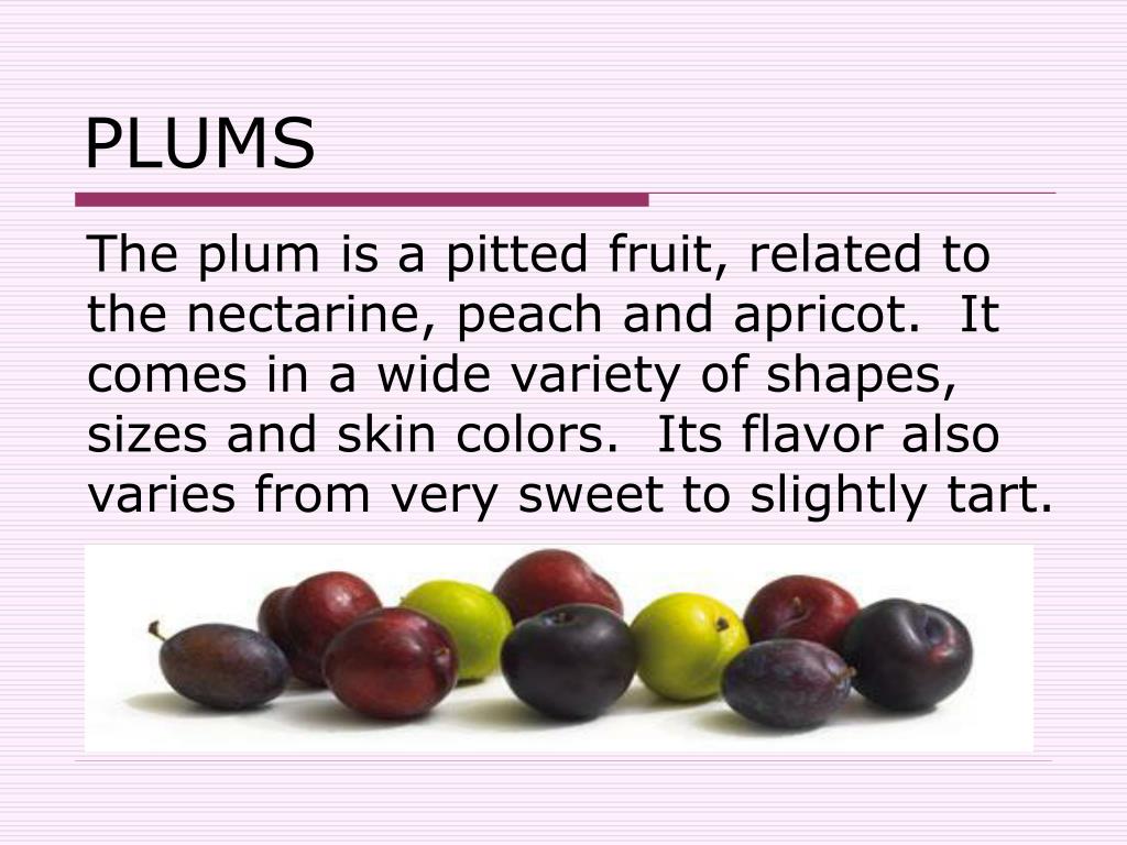 plum assignment definition
