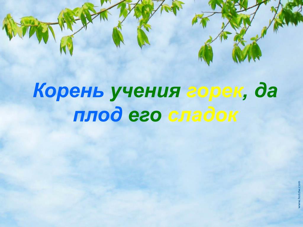 Корни образования горькие но плоды. Корень учения горек да плод его сладок. Корень учения горек да. Корень учения горек но плоды его Сладки. Рисунок к пословице корень учения горек да плод его сладок.