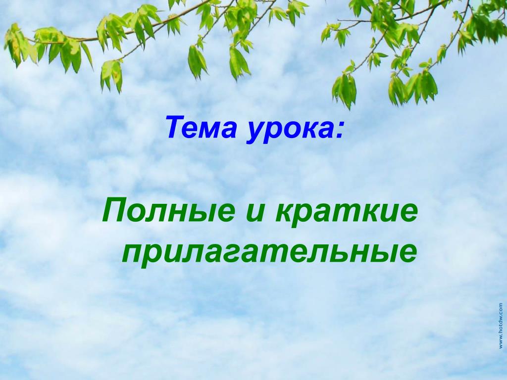 Объяснить пословицу корень учения горек. Полные и краткие прилагательные картинка. Корень учения горек да. Корень учения горек да плод его сладок. Прилагательные полные и краткие.урок в 5 классе.