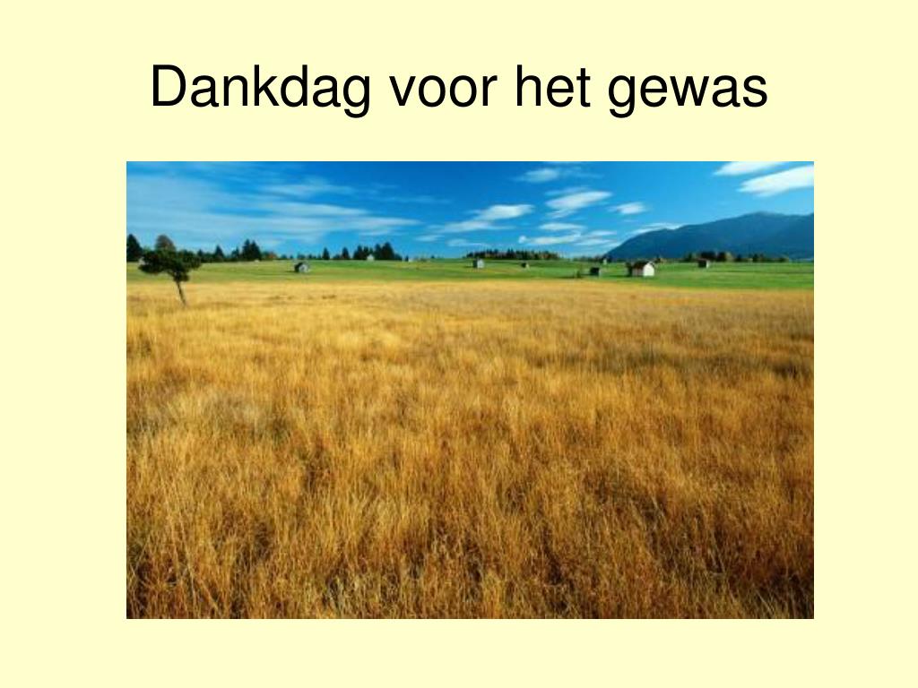 Dankdag Voor Het Gewas