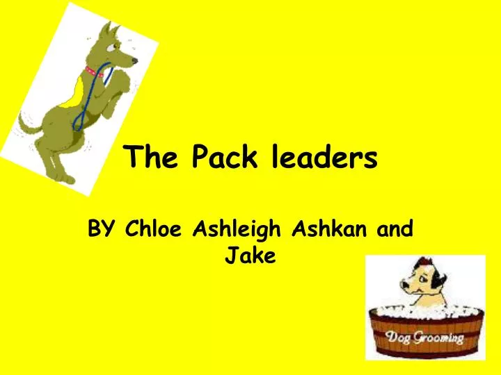 PPT The Pack leaders PowerPoint Presentation, free download ID6189899