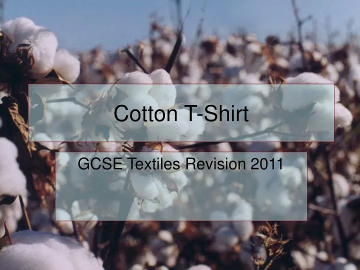 cotton t shirt n.
