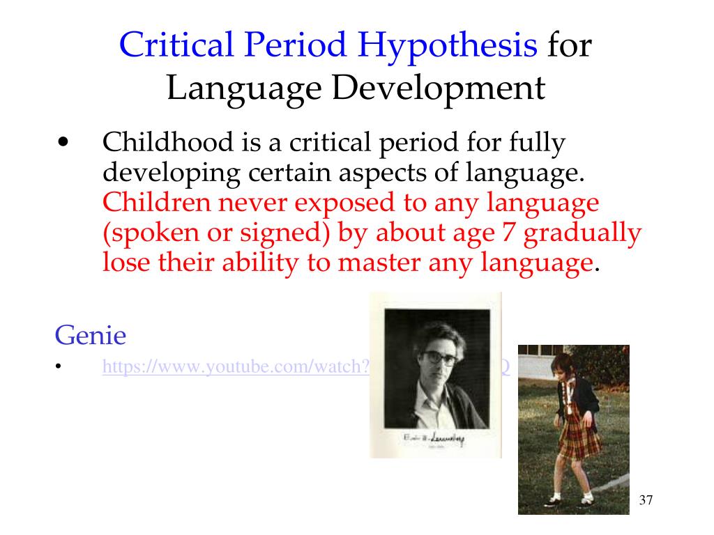 development of language hypothesis