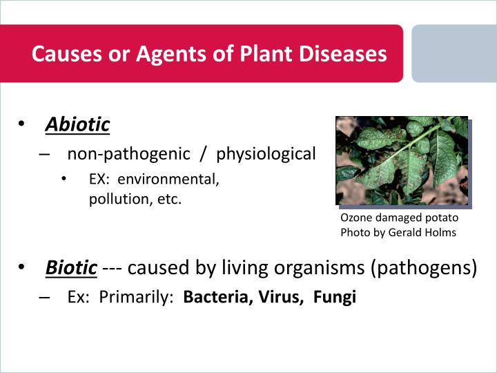 what are the causal agents of plant diseases