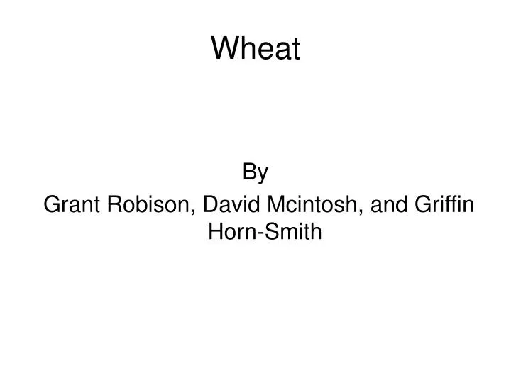 wheat n.