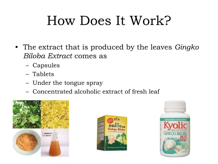 the beneficial use of ginkgo biloba extract the beneficial use of ginkgo biloba extract