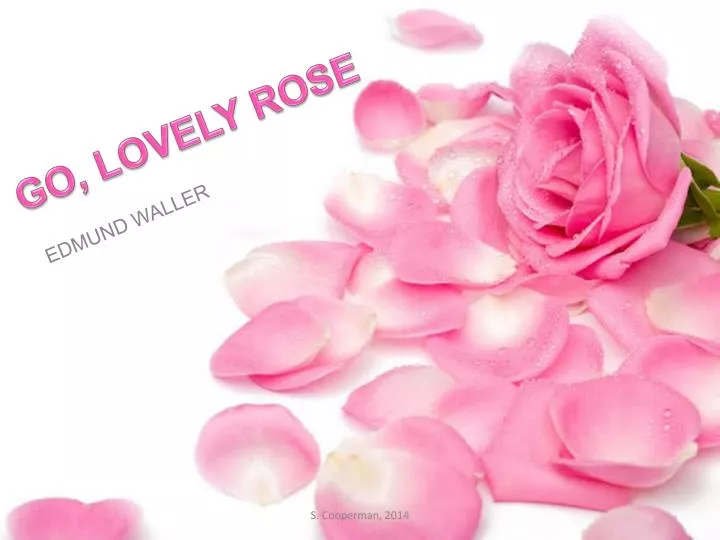 PPT GO, LOVELY ROSE PowerPoint Presentation ID6194696