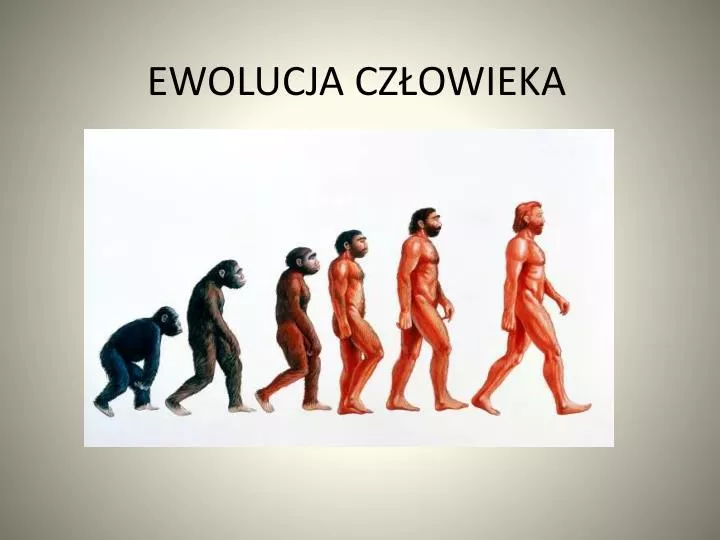 Rozwój Człowieka Od Narodzin Do Starości PPT - EWOLUCJA CZŁOWIEKA PowerPoint Presentation, free download - ID