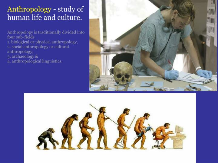 anthropology the study of humanity Archaeology is the study of the ancient and recent human past through material remains it is a subfield of anthropology, the study of all human culture. anthropology the study of humanity Archaeology is the study of the ancient and recent human past through material remains it is a subfield of anthropology, the study of all human culture.