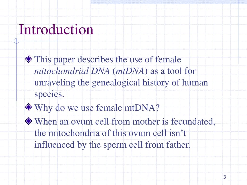 PPT - African Populations and the Evolution of Human Mitochondrial DNA ...