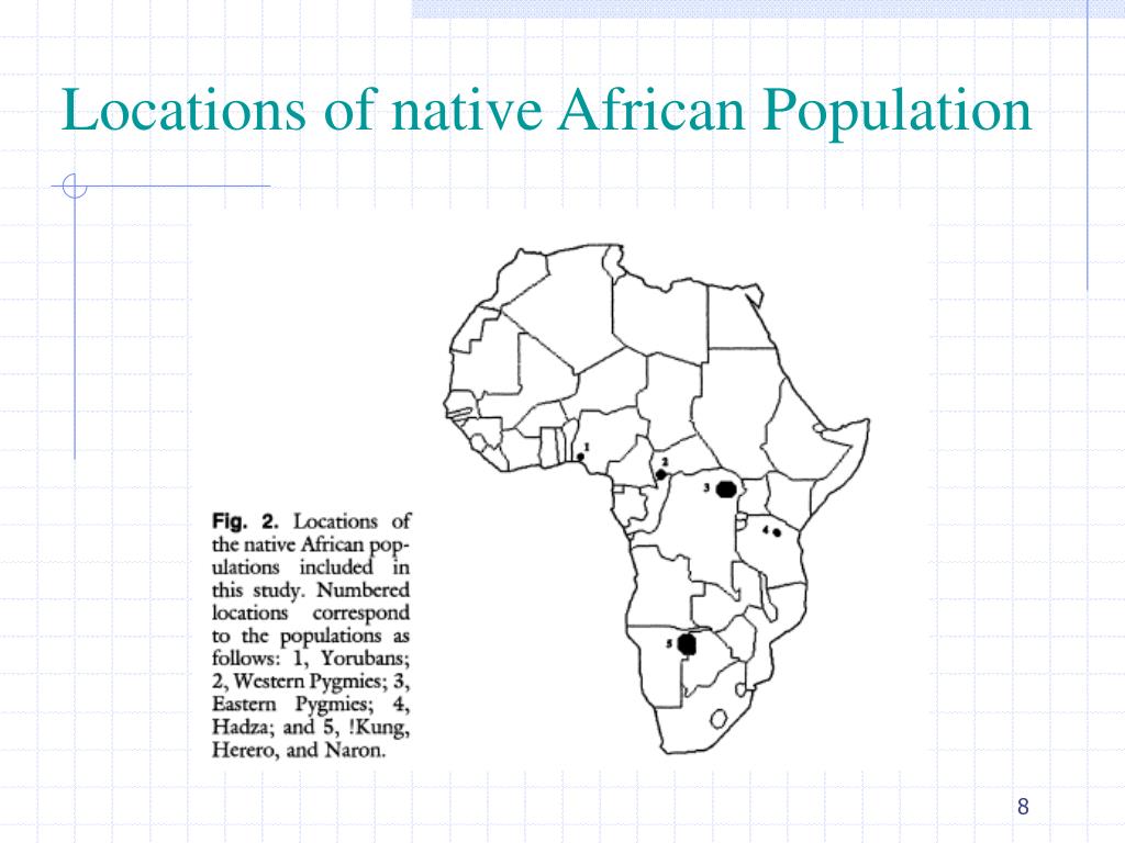 PPT - African Populations and the Evolution of Human Mitochondrial DNA ...