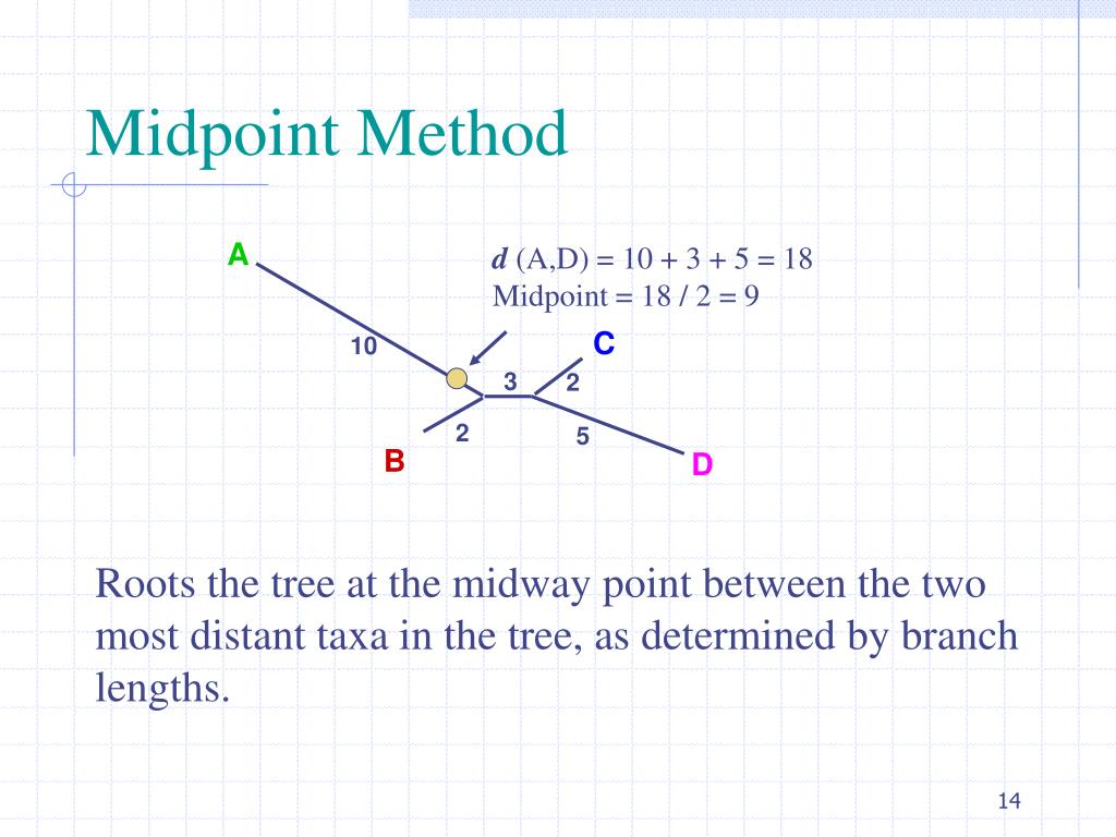 PPT - African Populations and the Evolution of Human Mitochondrial DNA ...