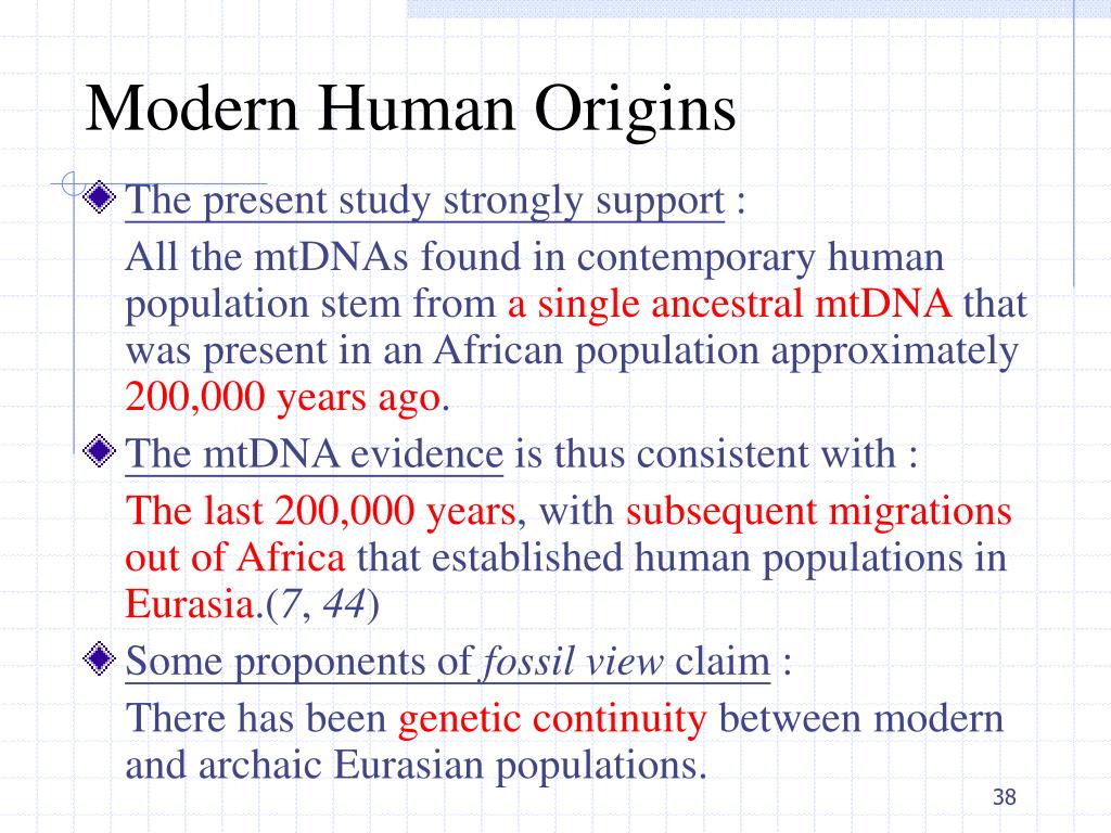 PPT - African Populations and the Evolution of Human Mitochondrial DNA ...