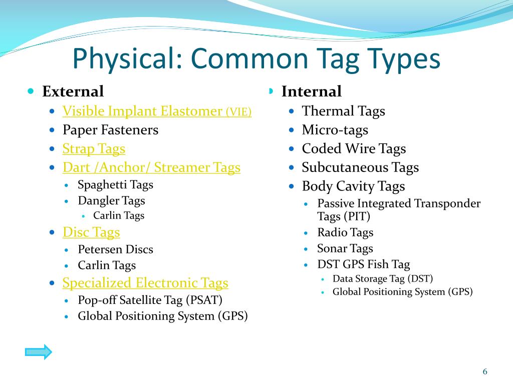 PPT - Tagging Models PowerPoint Presentation, free download - ID