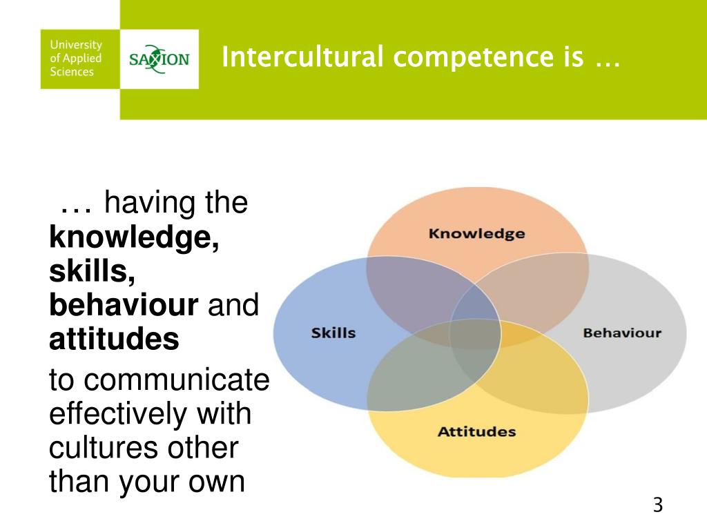 difference between knowledge skills and behaviours in the workplace