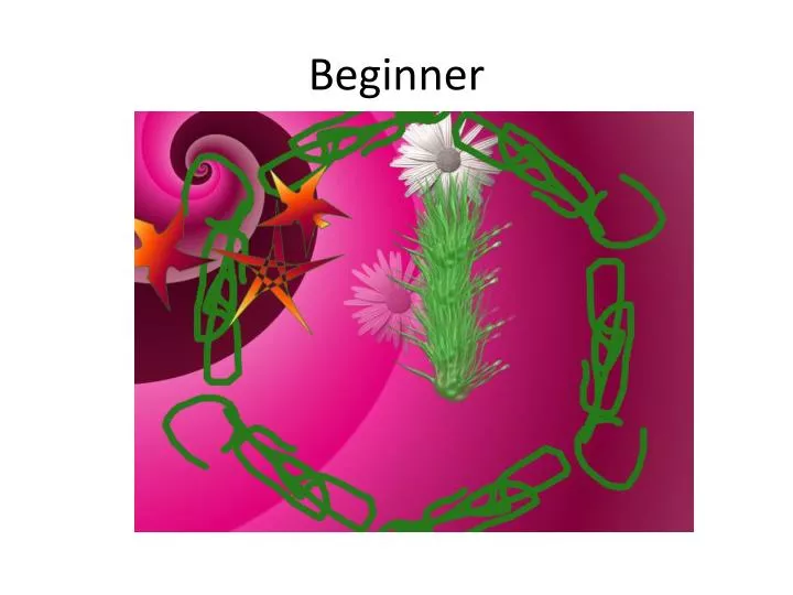 beginner n.