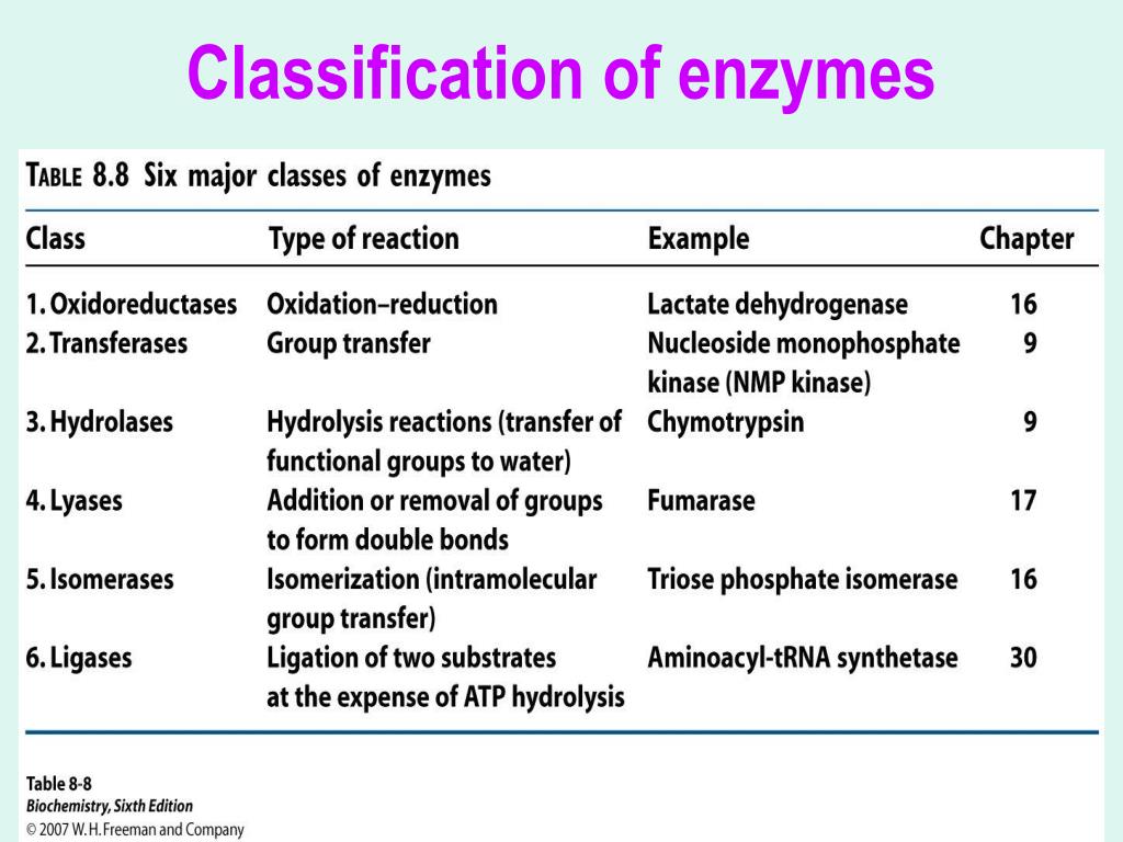 Instance properties. Enzyme classification. Classes of Enzymes. International classification of Enzymes. EC classification of Enzymes.
