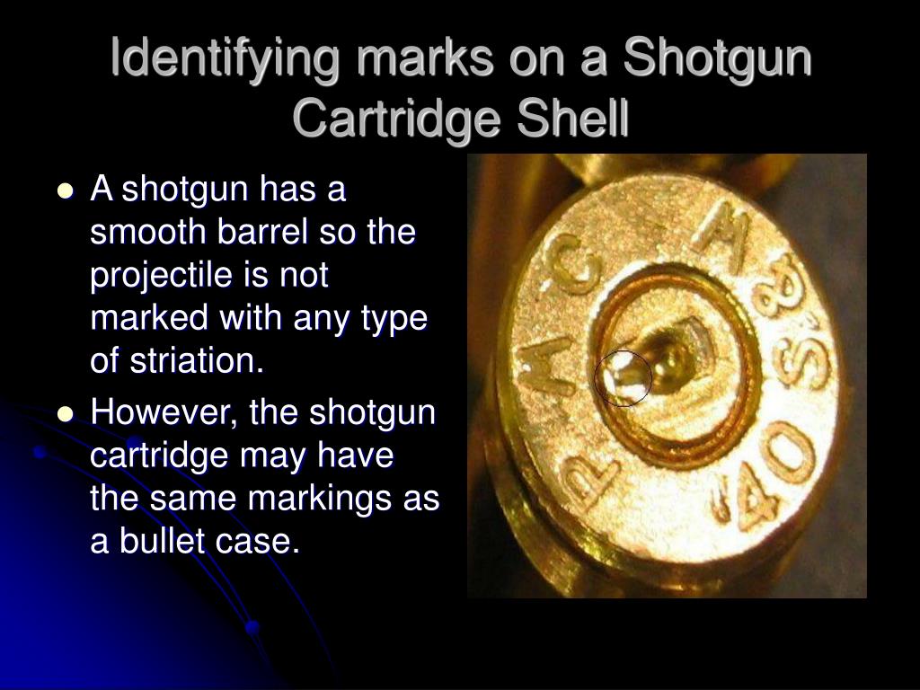 PPT Forensic Ballistics PowerPoint Presentation, free download ID