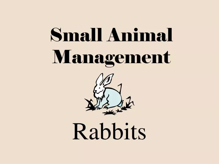PPT Small Animal Management PowerPoint Presentation, free download