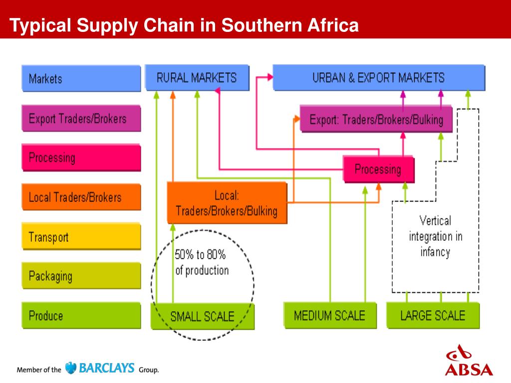 supply chain business plan south africa