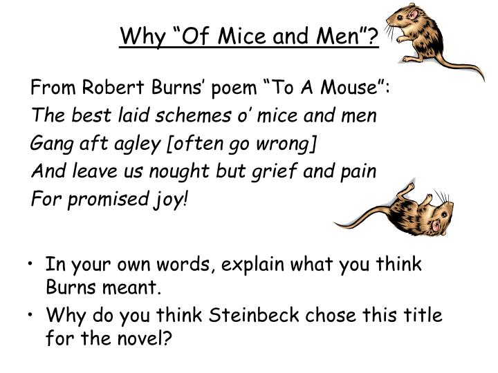 best laid plans of mice and men meaning