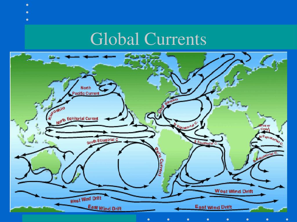 15 холодных течений. Течение Гольфстрим на карте. Морские течения. Схема морского течения. Течения мирового океана.