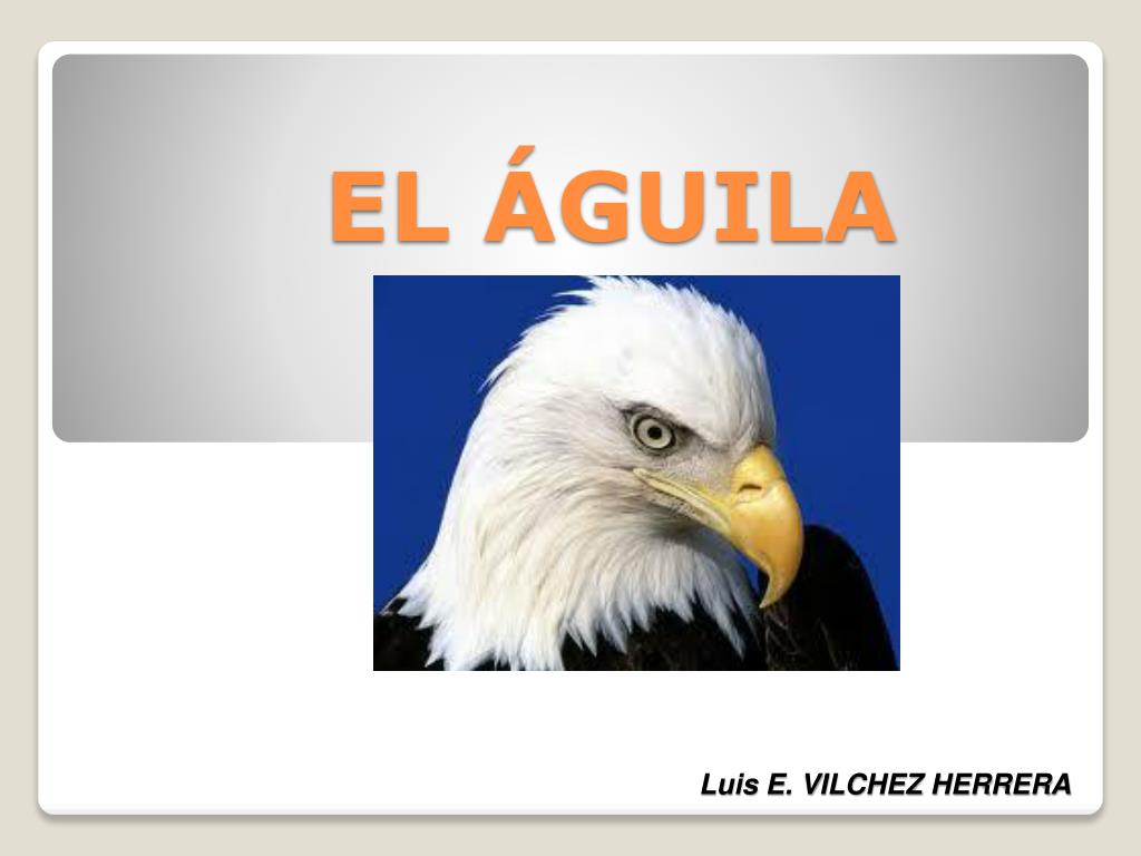 PPT - EL ÁGUILA PowerPoint Presentation, free download - ID:6207302