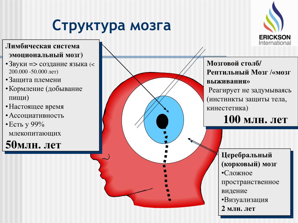 Схема п маклина