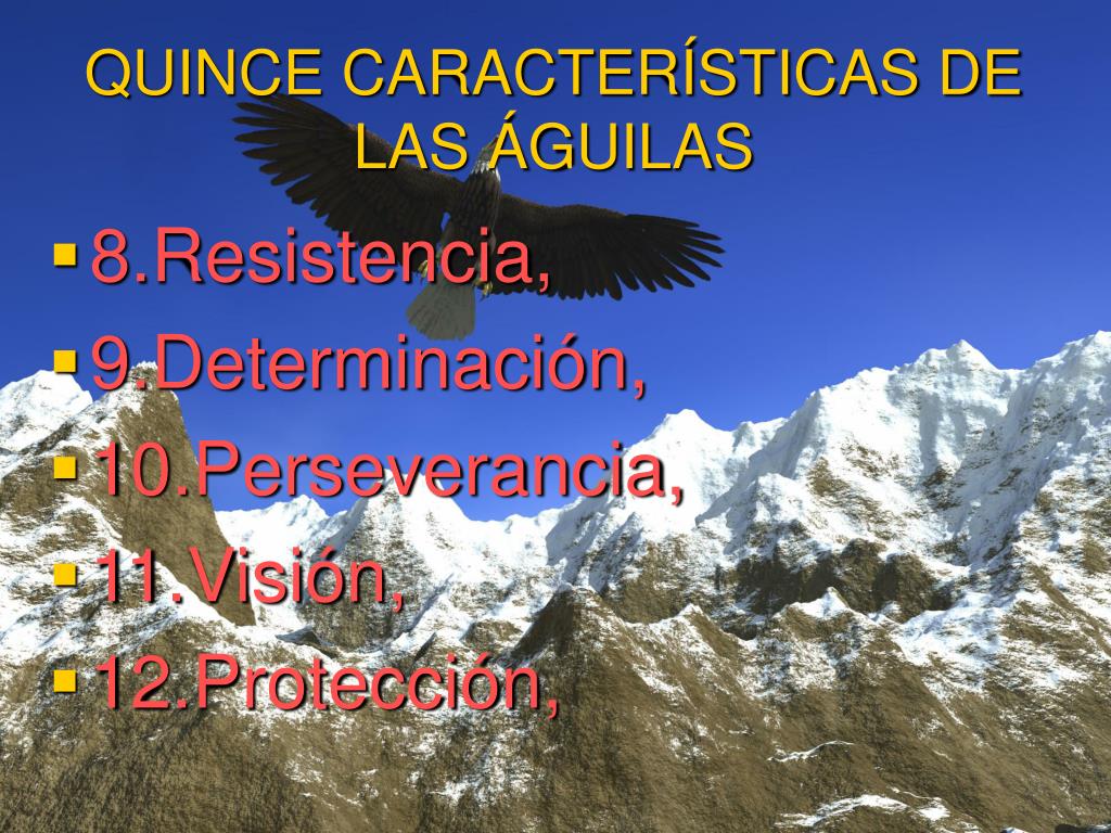 PPT - 15 CARACTERÍSTICAS DE LAS ÁGUILAS PowerPoint Presentation, free  download - ID:6207753