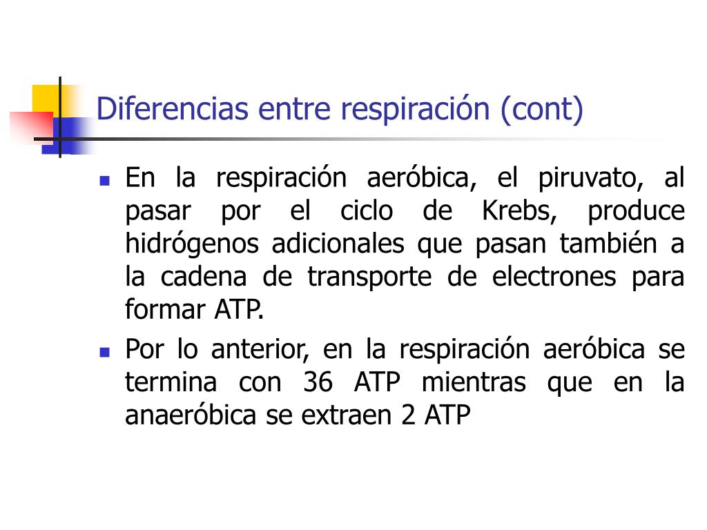 glucolisis anaerobica y aerobica diferencias